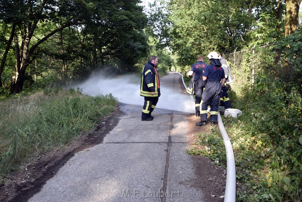 Waldbrand Koeln Hoehenhaus Hoehenfelder Mauspfad P026.JPG - Miklos Laubert